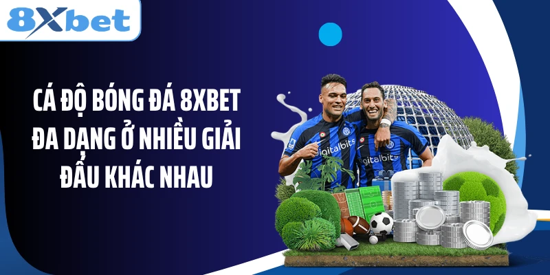 Cá độ bóng đá 8XBET đa dạng ở nhiều giải đấu khác nhau