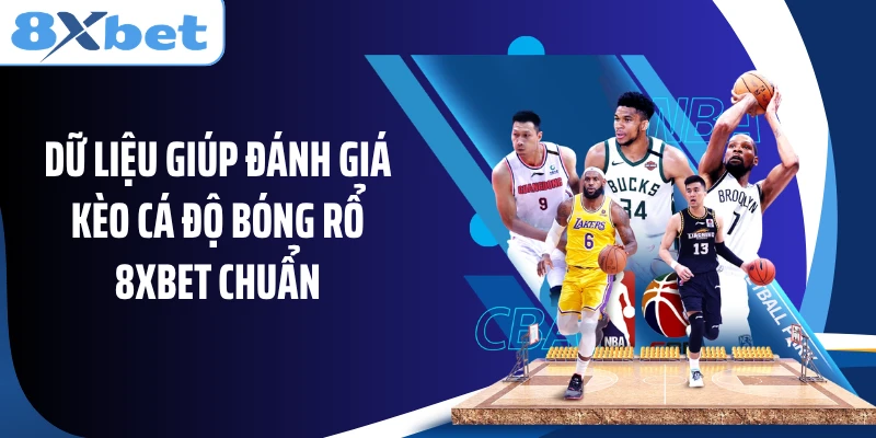 Dữ liệu giúp đánh giá kèo cá độ bóng rổ 8XBET chuẩn